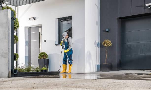 Best Fence Cleaning  in St Paul, MN